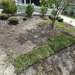 We pulled up the front yard grass to lay new sod