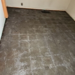 Asbestos Removal Project