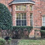 Window Cleaning