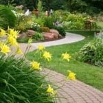 Commercial Landscaping Services