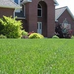 Lawn Maintenance Agreements Available