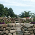The Backyard Oasis