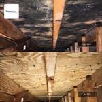 Attic Remed.