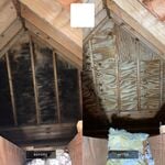 Attic Remed.