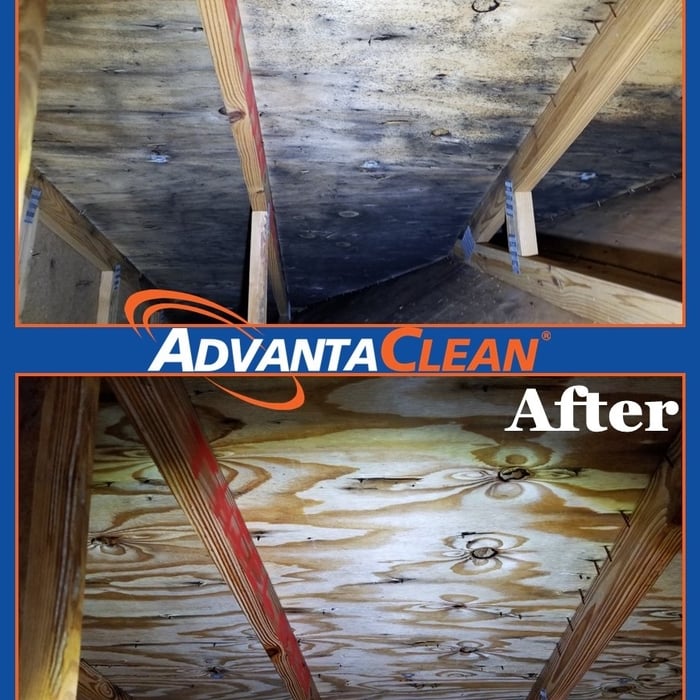Attic Remed.