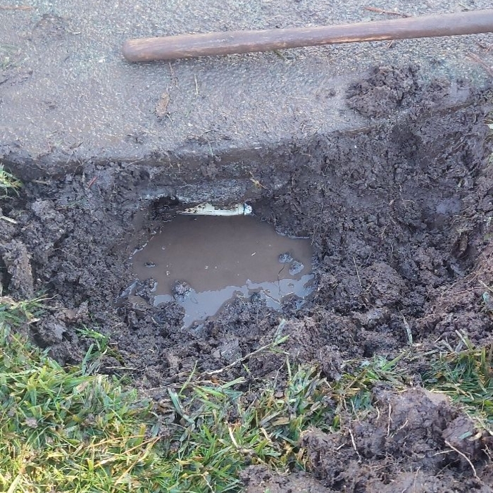 Additional Photos
