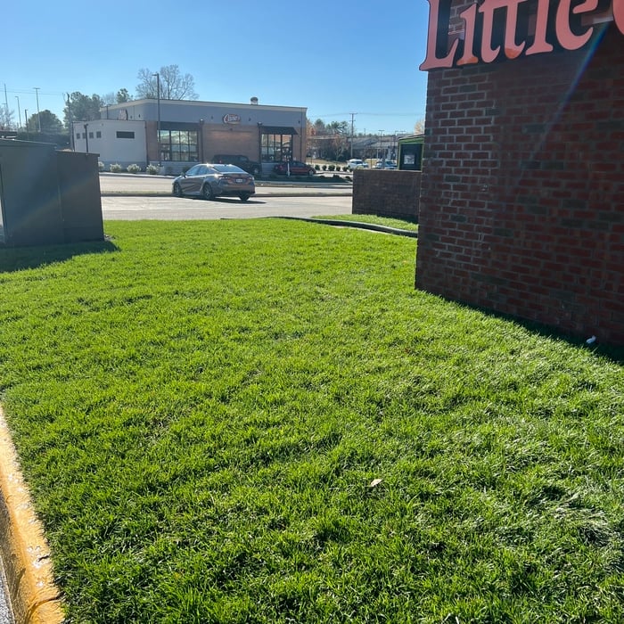 Landscaping Project