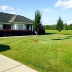 Lawn & Yard Work Project