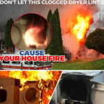 There are 16,000 dryer fires a year.
Protect your home and family. Get your dryer vent professionally cleaned. Call us today !