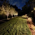 Local Landscape Lighting Project