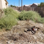 Additional Photos