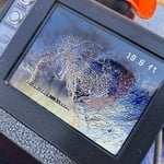 Root intrusion compromised pipe