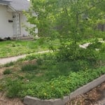 Landscaping Project
