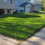Landscaping Project