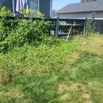 Landscaping Project