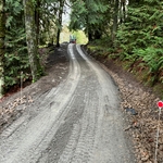 Driveway drainage