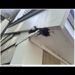 Remodeling - Trim repair