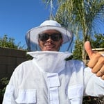 Bee Treatment Service
