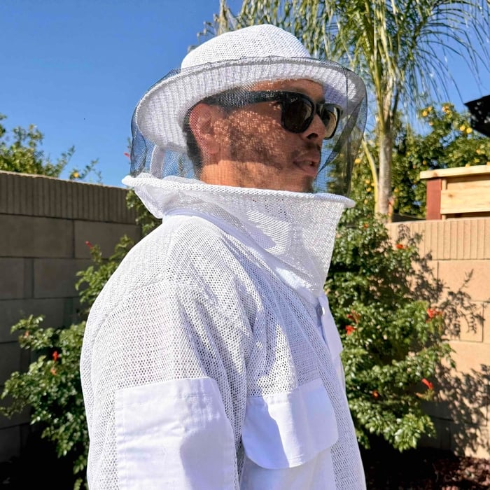 Bee Treatment Service