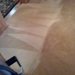 Carpet Cleaned Properly