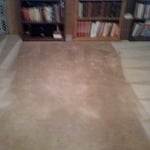 Three dog carpet Cleaned