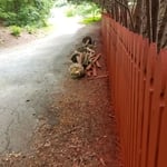Fencing Project