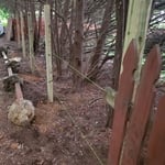 Fencing Project