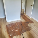 Hardwood Flooring Sales/Installation/Refinishing Project