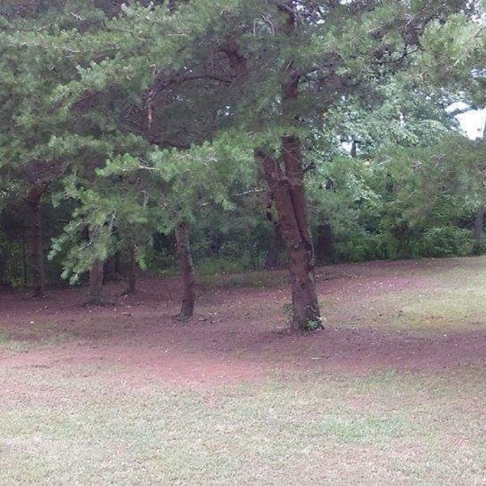 Additional Photos