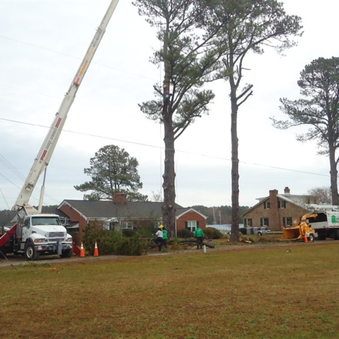 Additional Photos