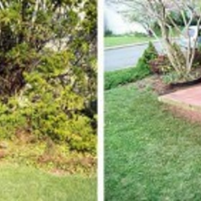before and after
