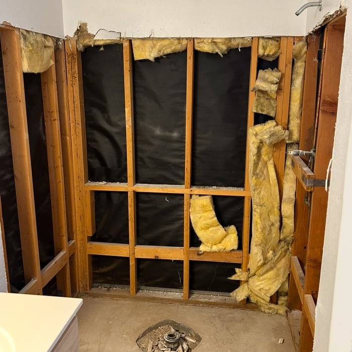 Removal of shower insert