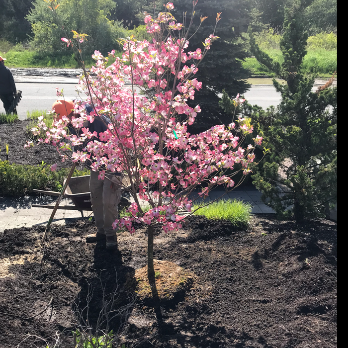 Additional Photos
