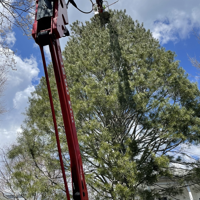 Additional Photos