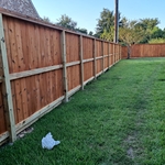 New fence with sealer.