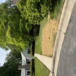 Completed sewer lateral repair.