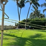 Tree installation