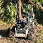 Tree Service