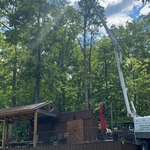 Tree Service Project
