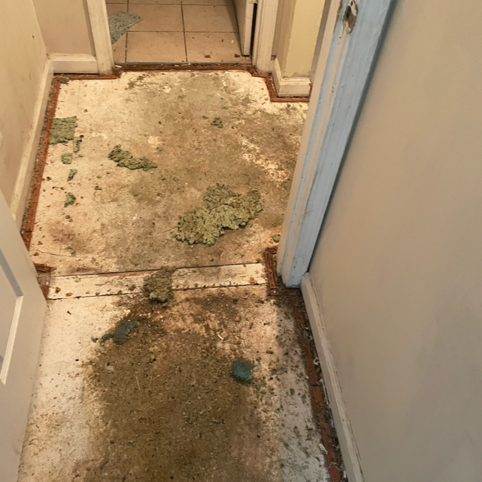 Additional Photos