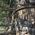 Concrete - Pouring & Repair Project