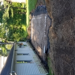 Patio & landscape