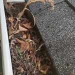 Gutter Cleaning Project