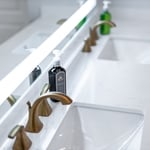 Master bathroom remodeling in Chesapeake, VA with standing shower + corner bathtub