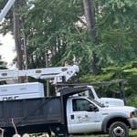 Tree Service Project