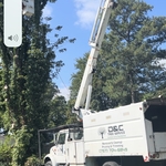 Tree Service Project