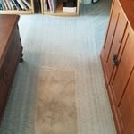 Carpet Cleaning By Apex