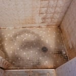 Shower Cleaning By Apex