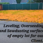 Germination of tall fescue through sawdust.