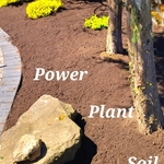 1 of 4 landscaped beds dressed with power plant soil
